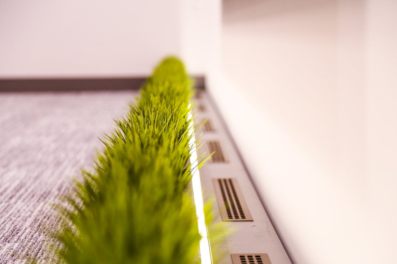 Aréna Corner fitout